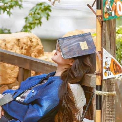 每天都和总裁斗智斗勇